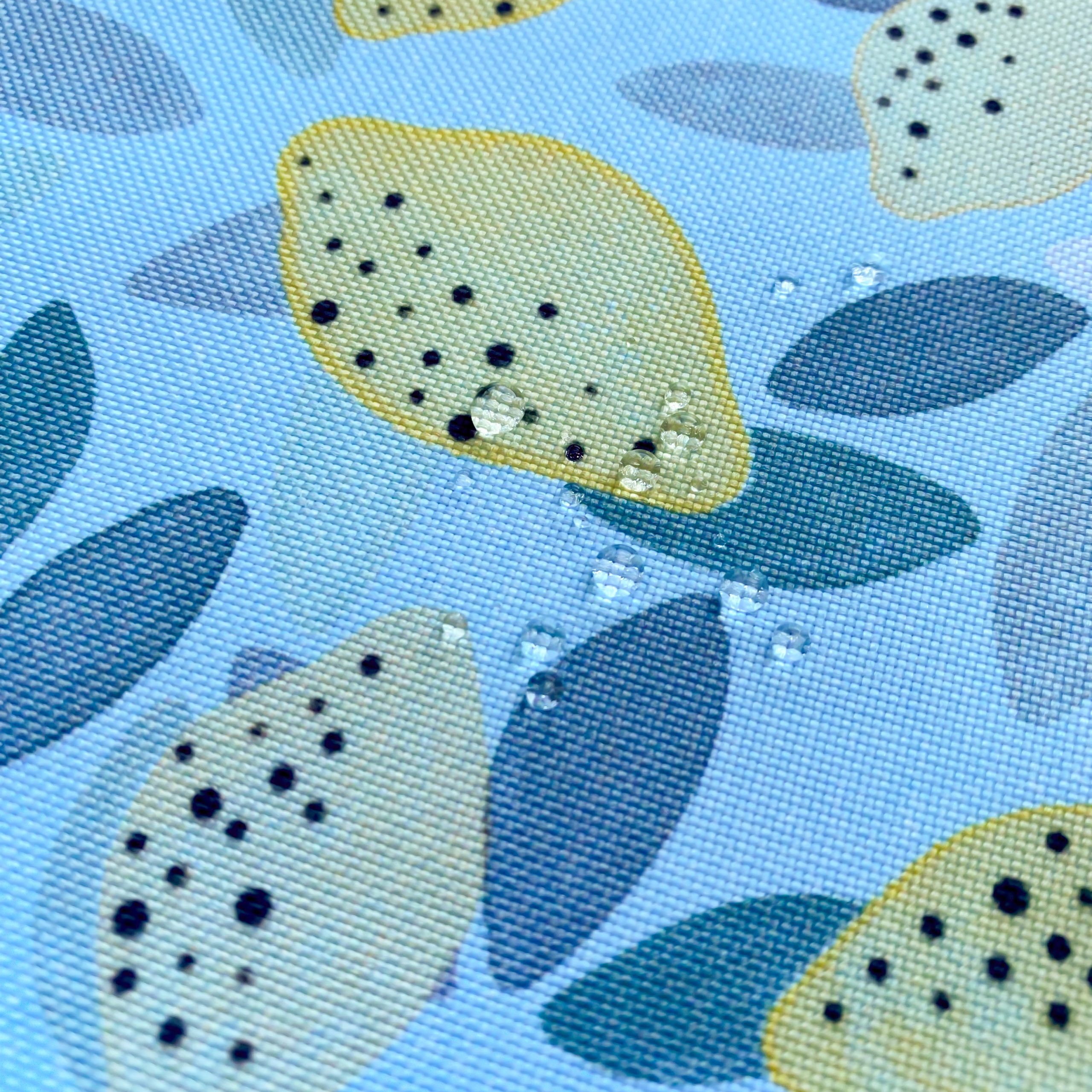Riñonera Soft Lemons