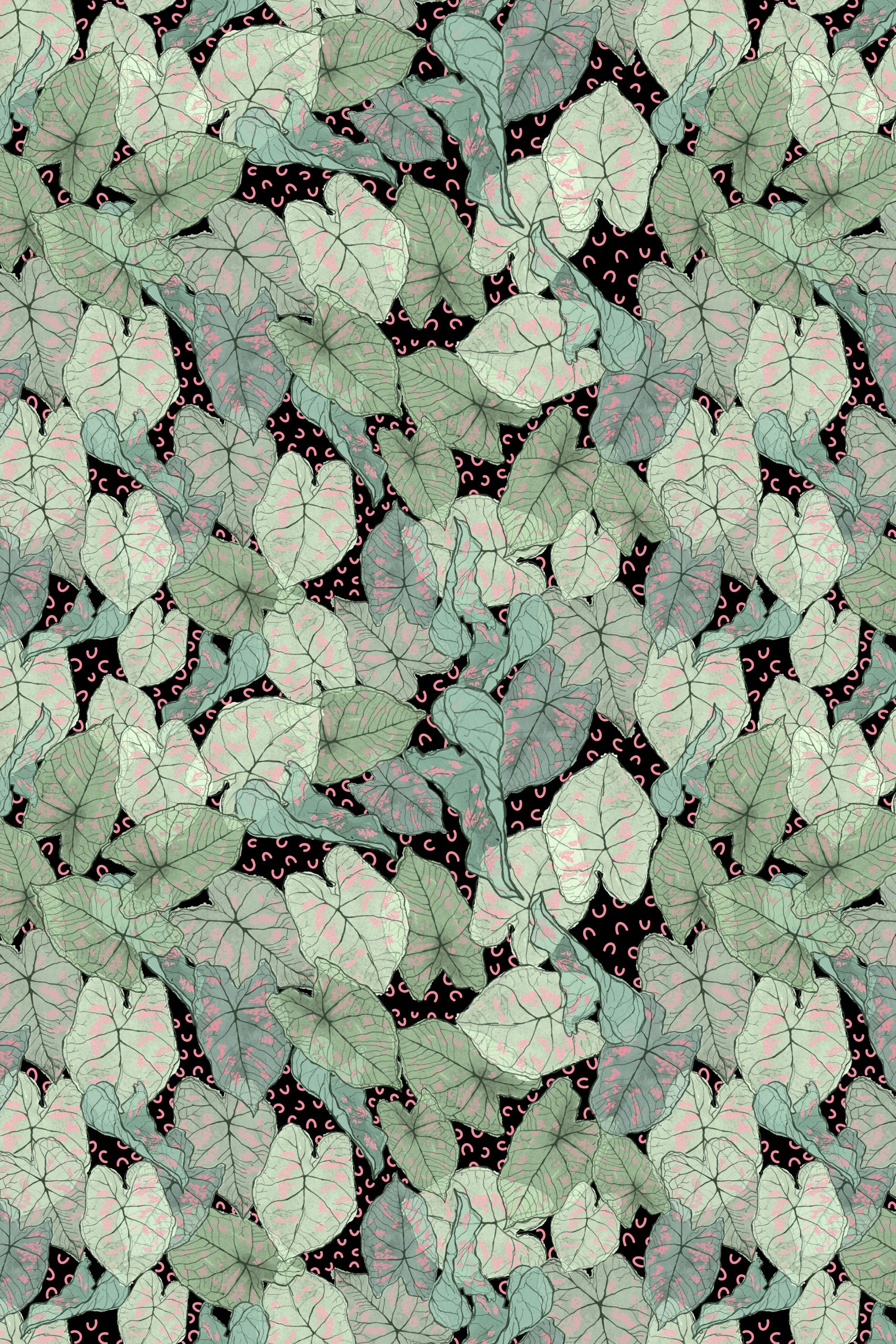 Pichi Caladium
