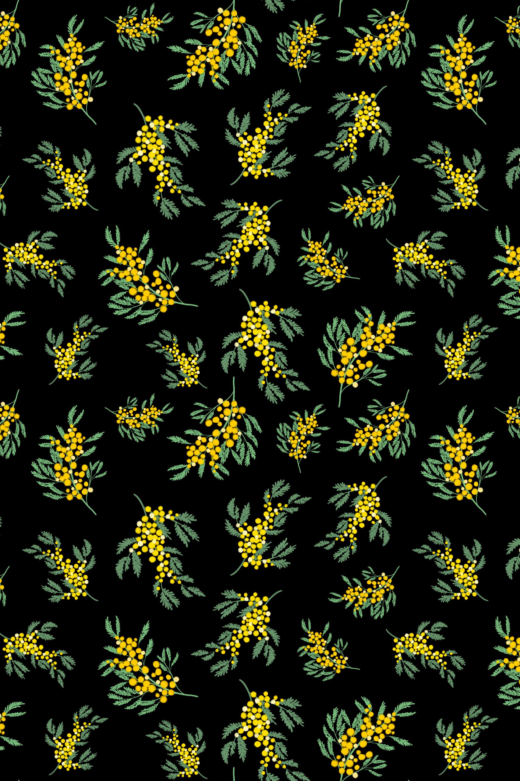 Blazer Mimosa